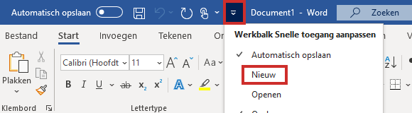 word snelle toegang nieuw document